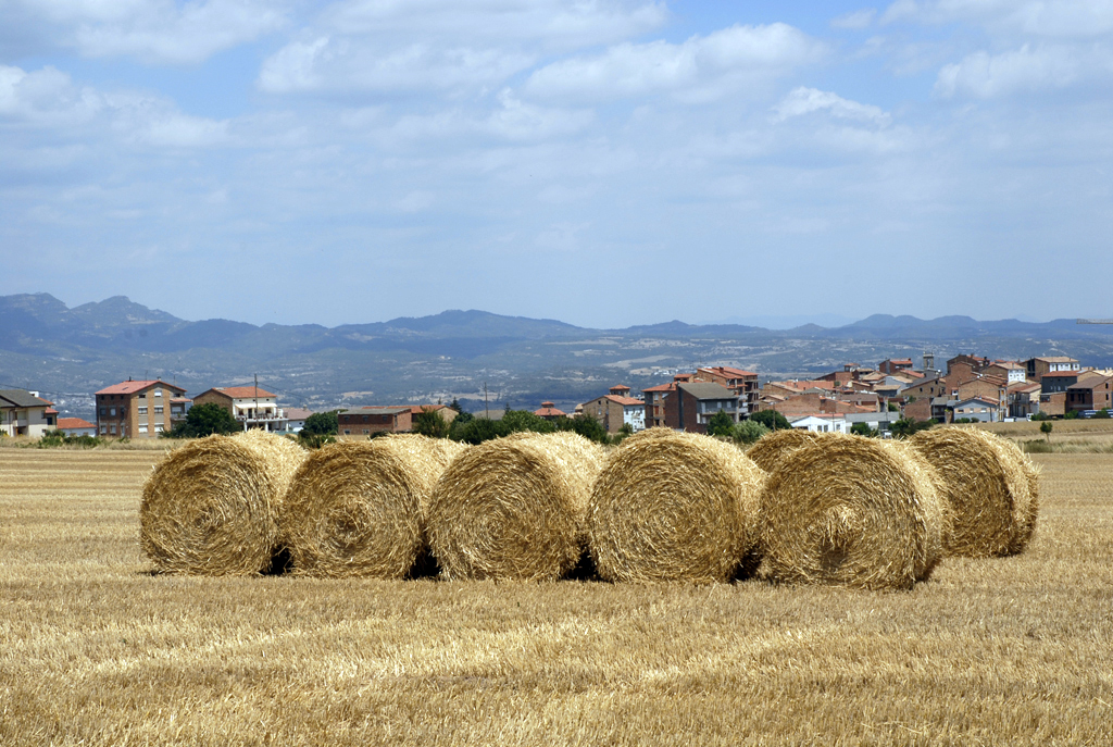 Imatge de Casserres